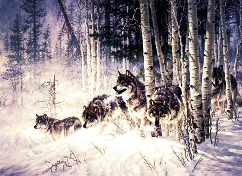 Wolves in Snowy Forest — White, Dramatic, Winter
