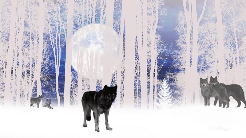Wolves in Snowy Forest — White, Serene