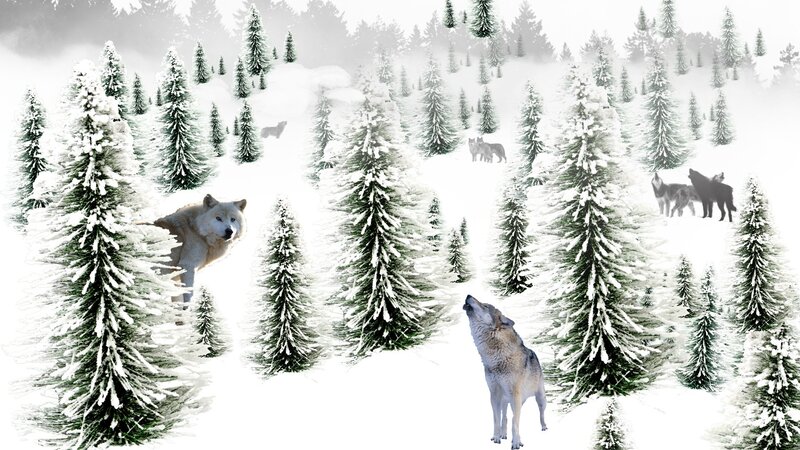 Wolves in Snowy Forest — White, Serene, Winter, Digital Art