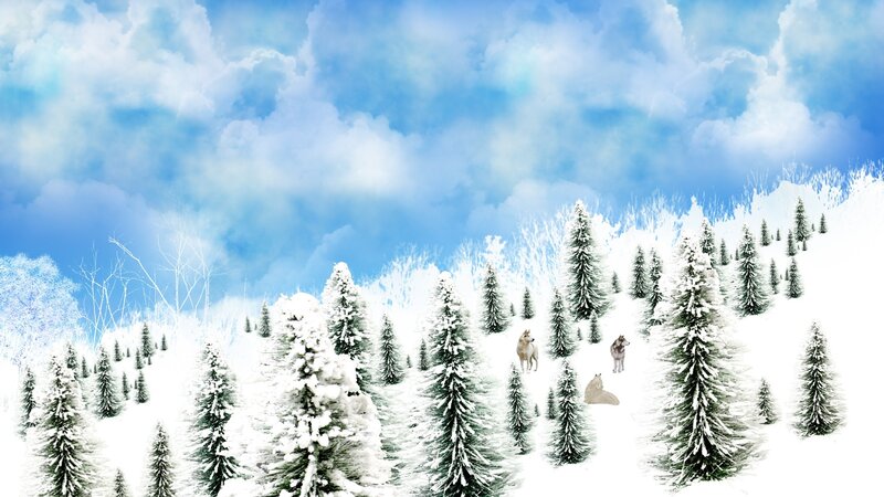 Wolves in Snowy Forest — White, Serene, Winter, Digital Art, Trees