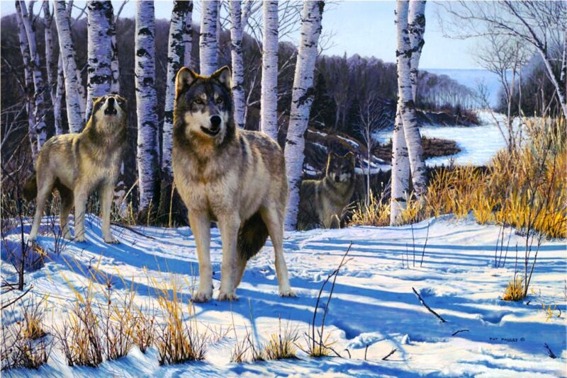 Wolves in Snowy Forest — White, Serene, Winter, Painting, Birch Trees, Snow
