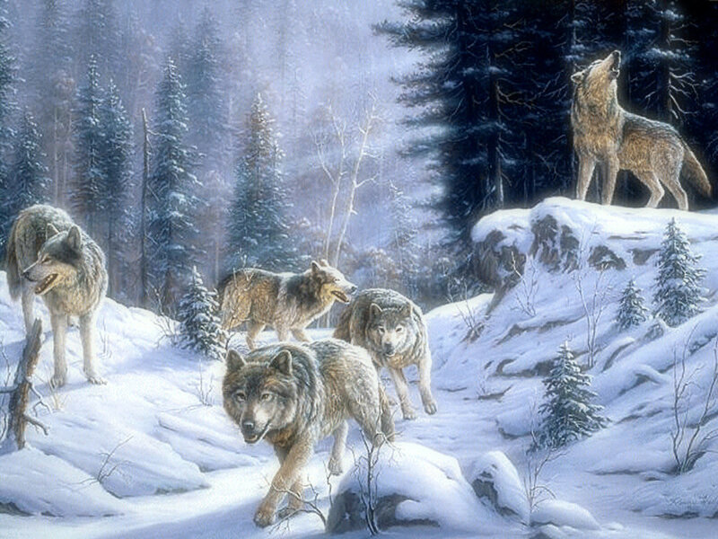 Wolves in Snowy Forest — White, Serene, Winter, Painting
