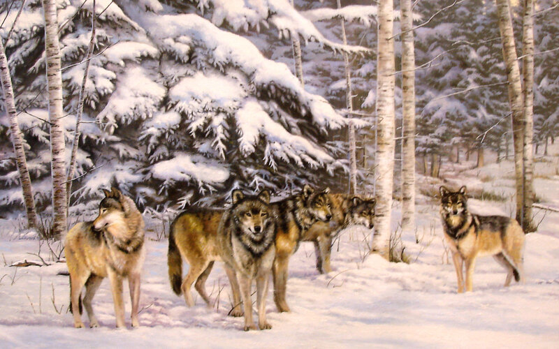 Wolves in Snowy Forest — White, Serene, Winter