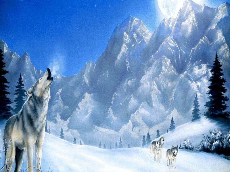 Wolves in Snowy Landscape — Blue, Serene