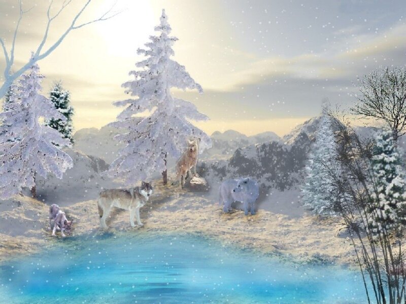 Wolves in Snowy Landscape — White, Serene, Winter