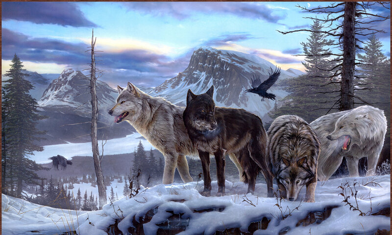 Wolves in Snowy Landscape — White
