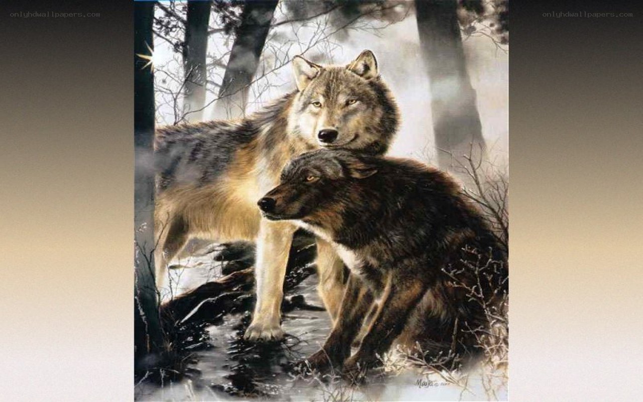 Wolves in the forest