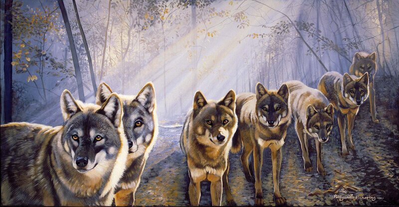 Wolves in the forest