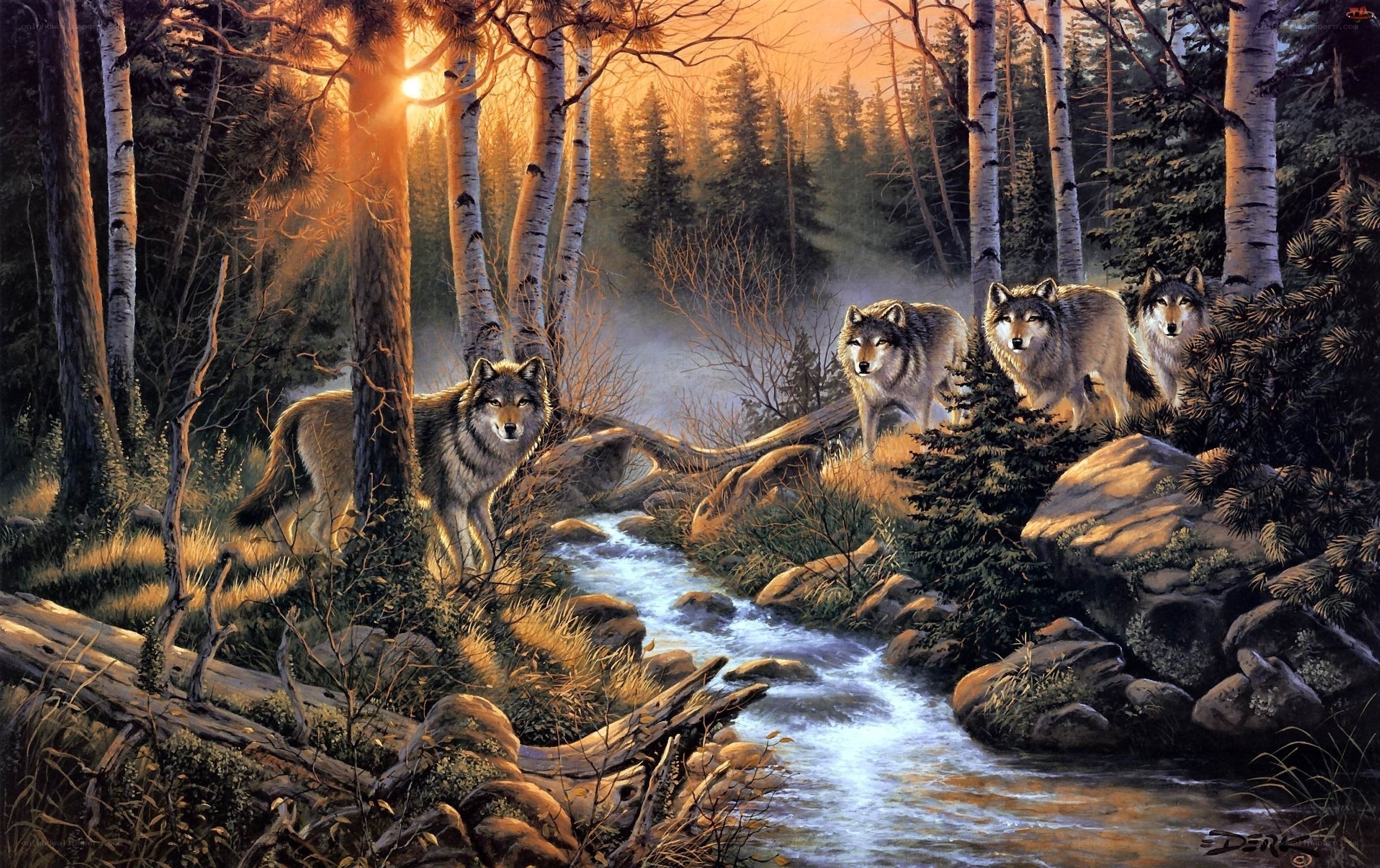 Wolves in the forest at sunset