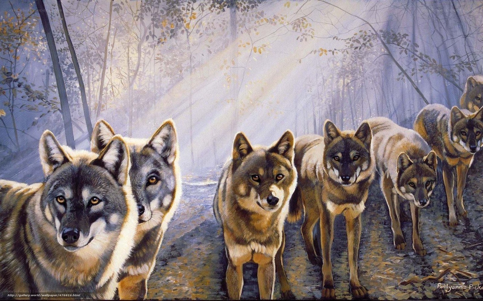 Wolves in the forest