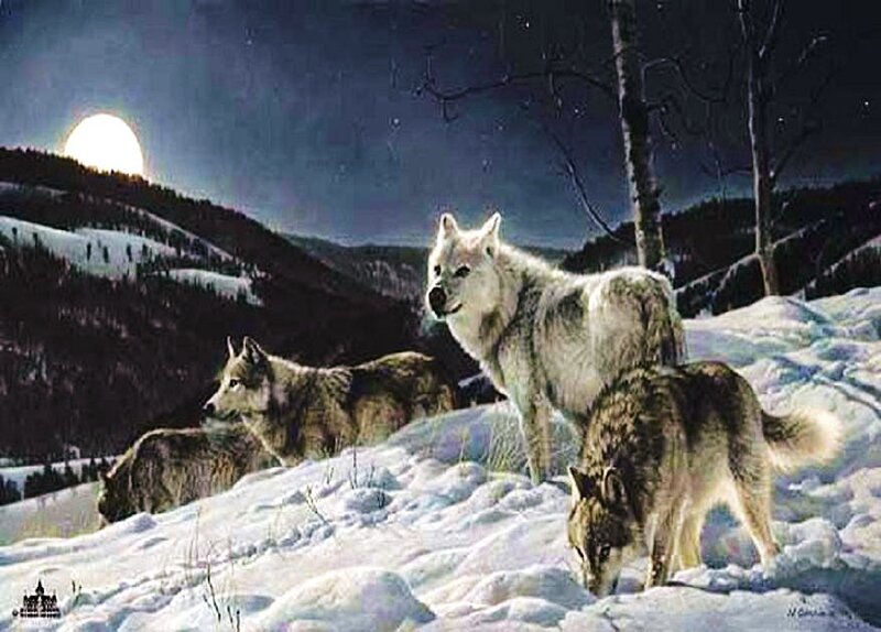 Wolves in the Moonlight