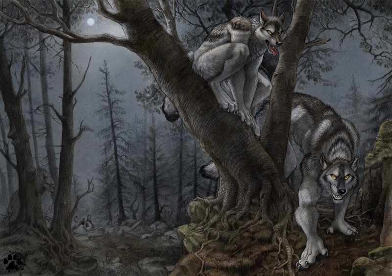 Wolves in the Moonlit Forest