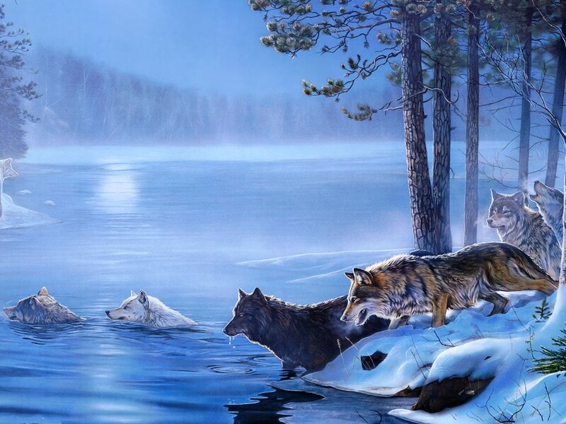 Wolves in Winter — Blue