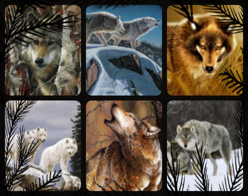 Wolves in Winter — Brown