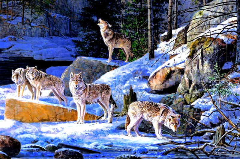 Wolves in Winter Forest — Blue, Dramatic, Illustration