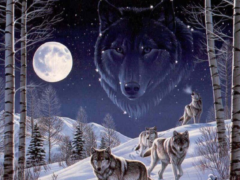 Wolves in Winter Forest — Blue, Dramatic, Night, Digital Art