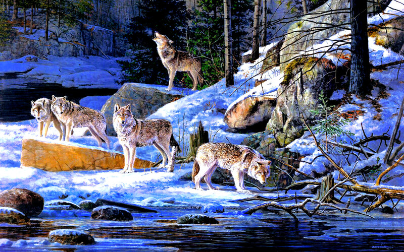 Wolves in Winter Forest — Blue, Dramatic