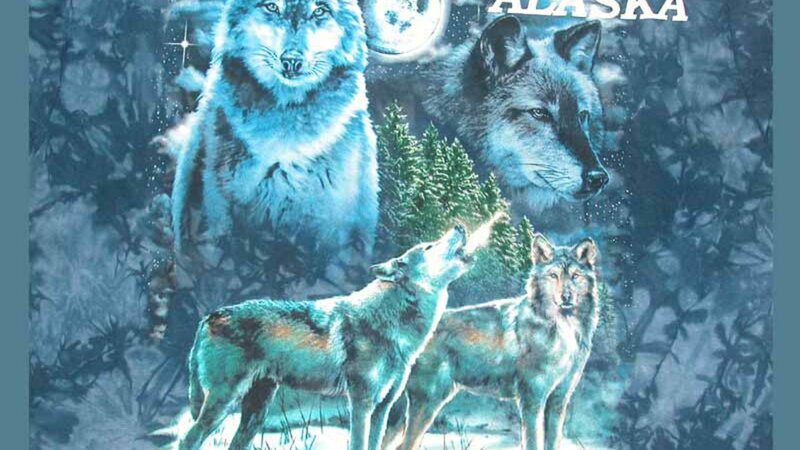 Wolves in Winter Forest — Blue, Mystical