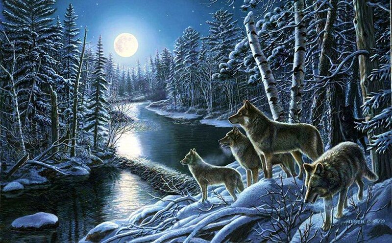 Wolves in Winter Forest — Blue, Serene, Night, Digital Art