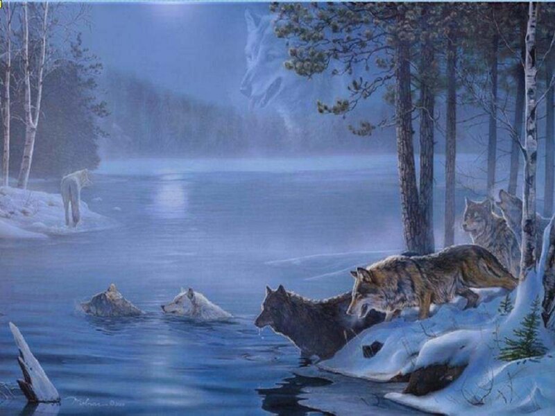 Wolves in Winter Forest — Blue, Serene, Night