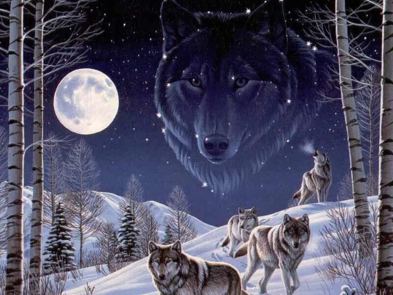 Wolves in Winter Forest — Blue