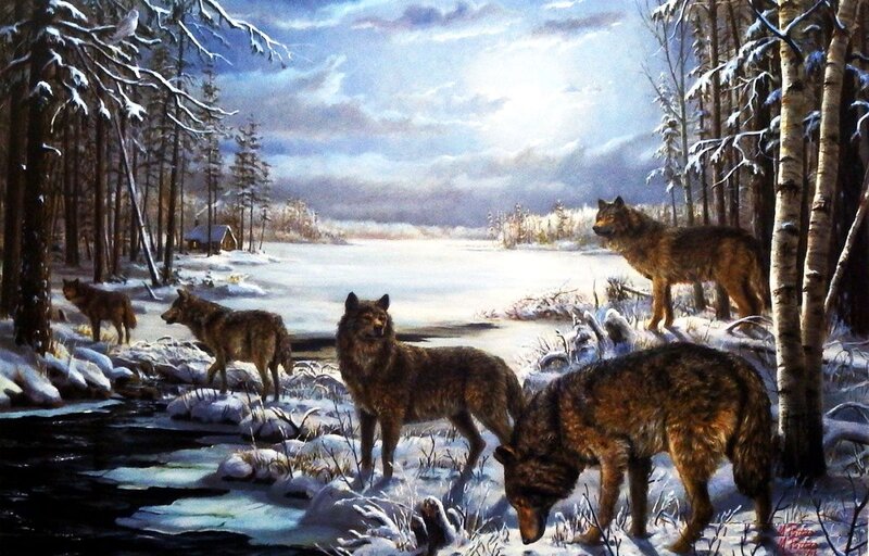 Wolves in Winter Forest — Brown, Serene