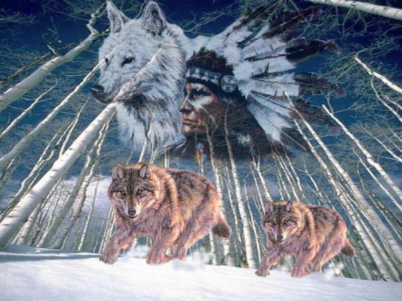 Wolves in winter forest