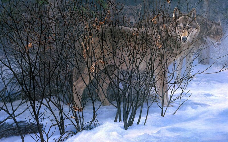 Wolves in Winter Forest — White, Dramatic, Illustration