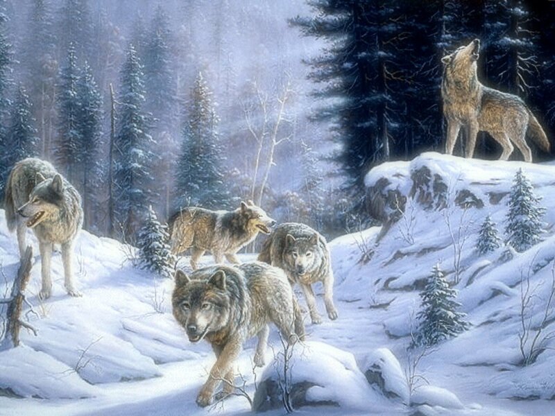 Wolves in Winter Forest — White, Dramatic, Painting, Snow