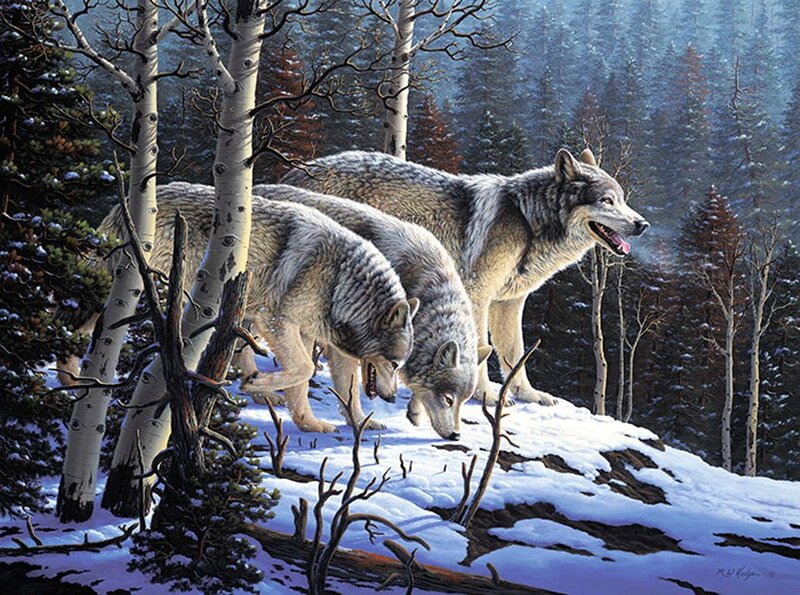 Wolves in Winter Forest — White, Dramatic, Painting, Snow, Trees