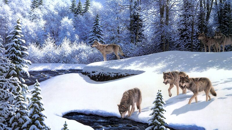 Wolves in Winter Forest — White, Serene, Digital Art