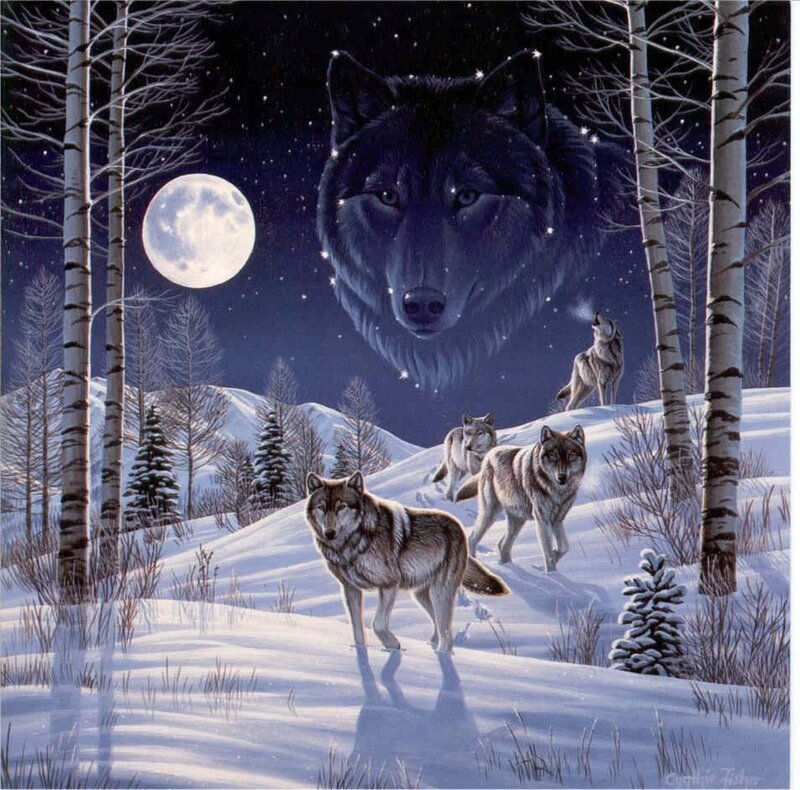 Wolves in Winter Forest — White, Serene, Night