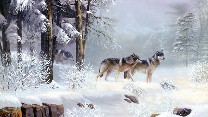 Wolves in Winter Forest — White, Serene, Painting, Snow, Trees