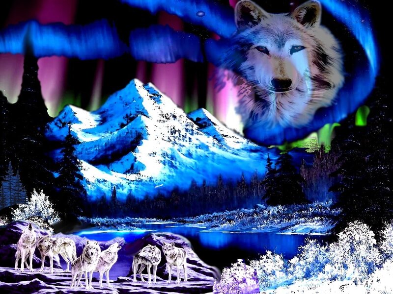 Wolves in Winter Landscape — Blue, Dramatic, Night