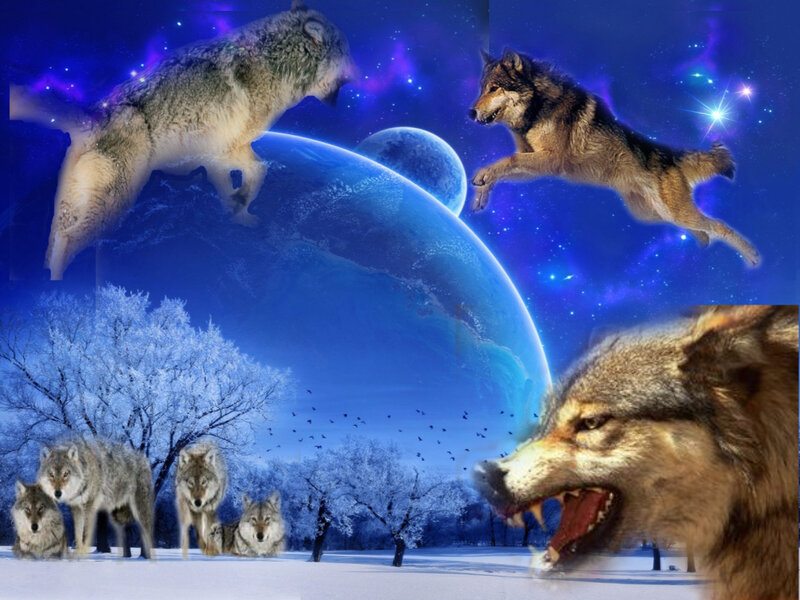 Wolves in Winter Landscape — Blue, Dramatic