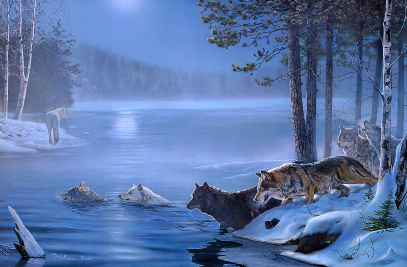 Wolves in Winter Landscape — Blue, Serene