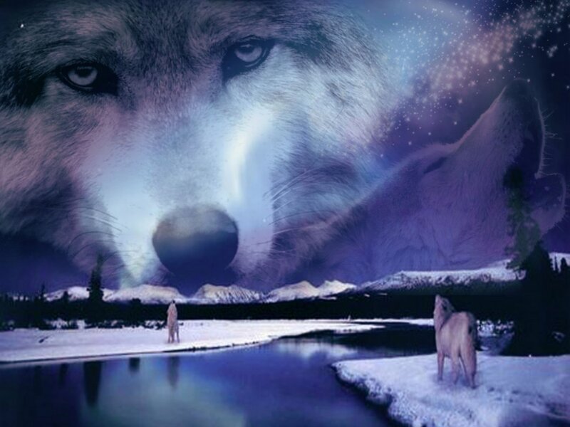 Wolves in Winter Landscape — Blue