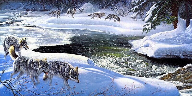 Wolves in Winter Landscape — White, Cold, Digital Art