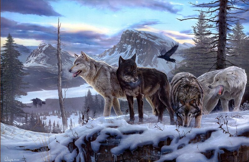 Wolves in Winter Landscape — White, Dramatic, Digital Art, Mountains