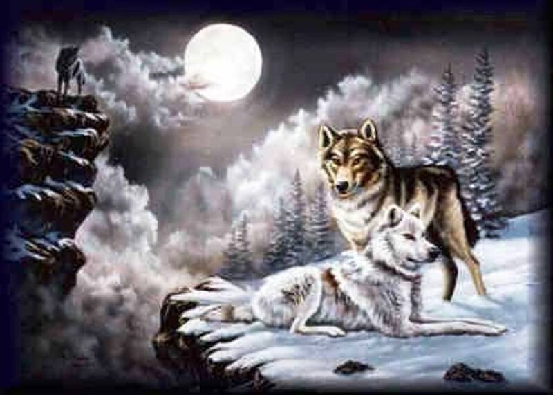 Wolves in Winter Landscape — White, Dramatic