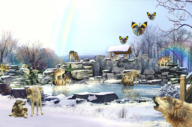 Wolves in Winter Landscape — White, Serene