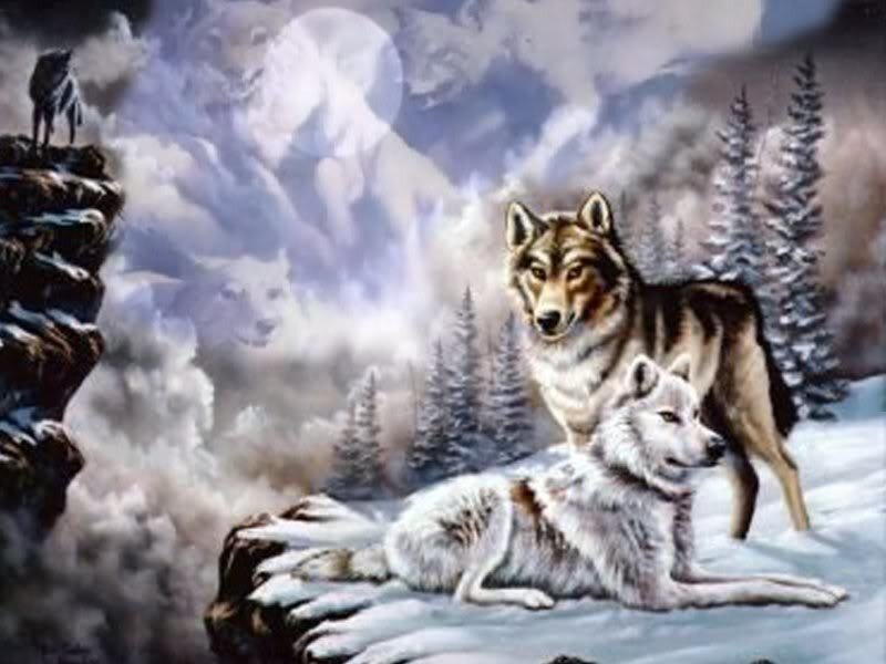Wolves in Winter Landscape — White