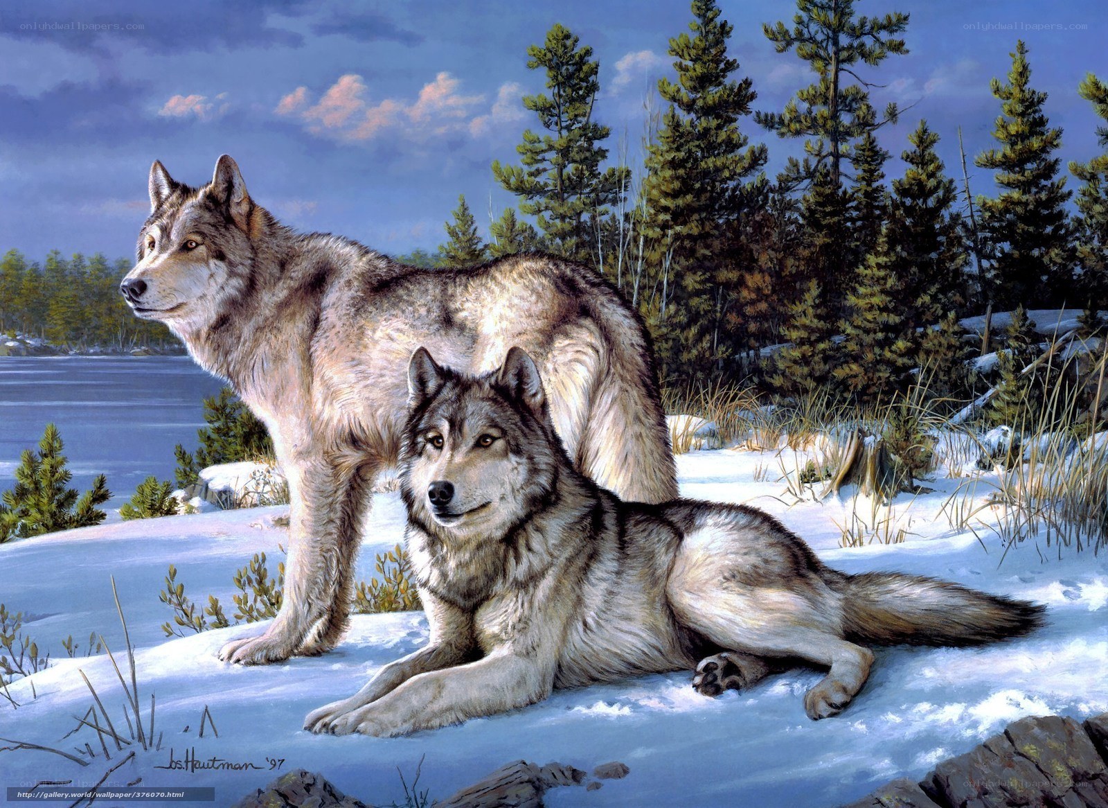 Wolves in winter landscape