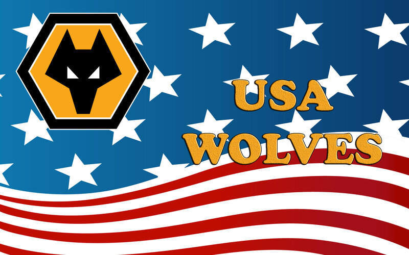 Wolves Logo on Flag