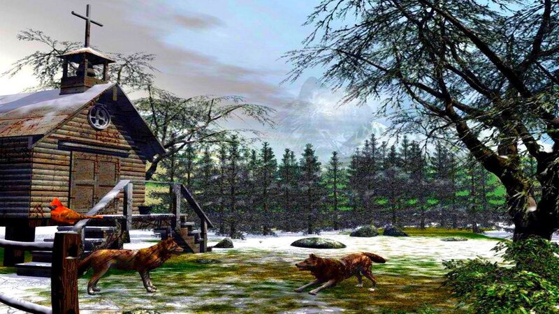 Wolves Near Church