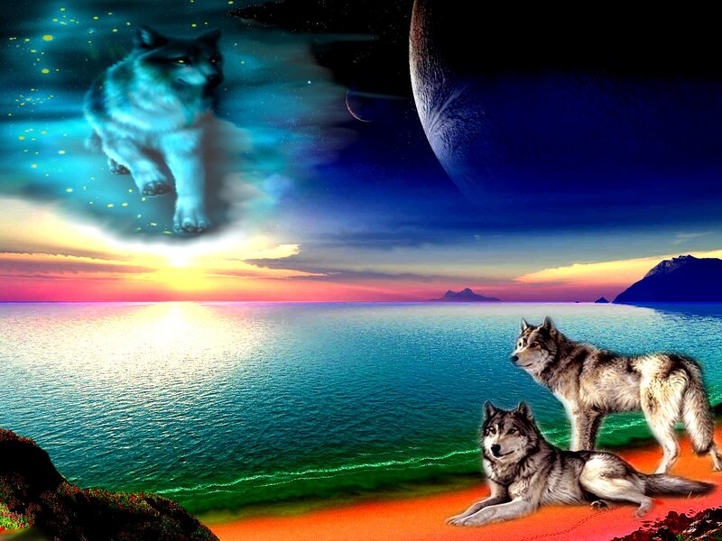 Wolves on a Beach