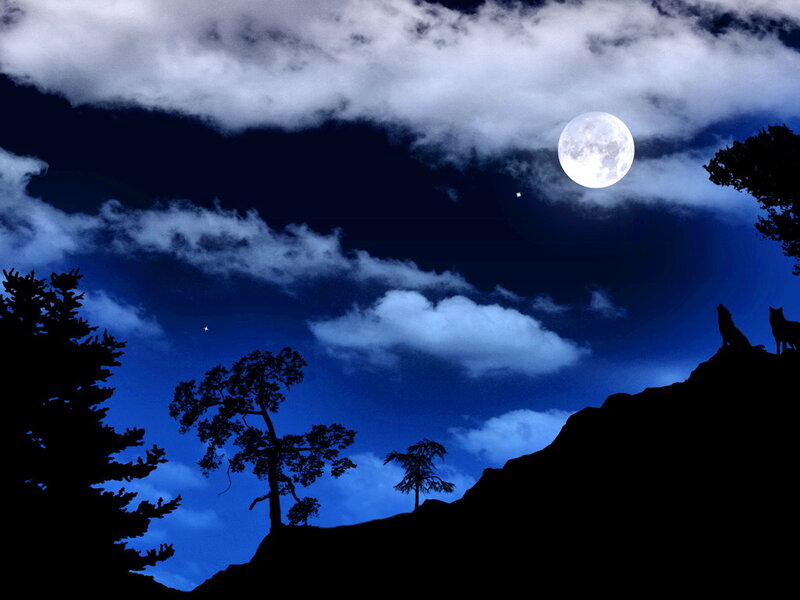 Wolves on a Cliff — Blue