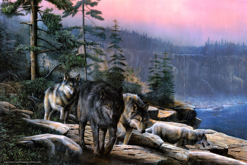 Wolves on a Cliff — Gray, Dramatic, Sunset