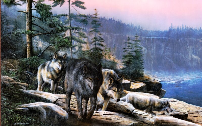 Wolves on a Cliff — Gray