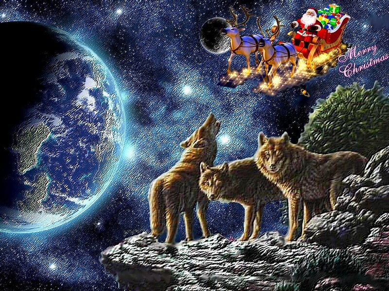 Wolves on a Cliff